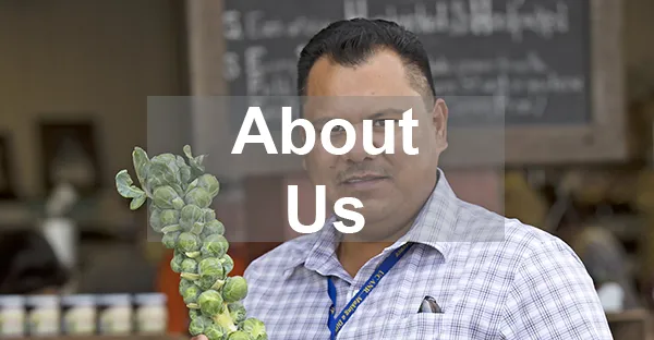 About Us