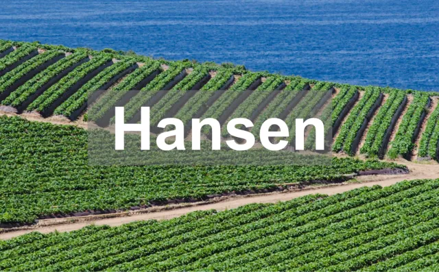 Hansen REC