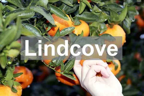 Lindcove REC