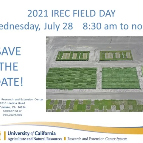 Save the Date!