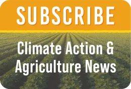 Subscribe Button