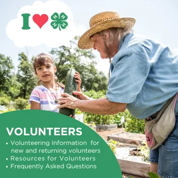 Volunteer
