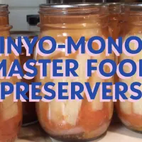 Jars of pickled jicama behind text of Inyo-Mono Master Food Preservers